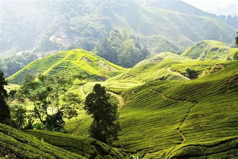 Freenude amateur pics.  Visit amateurgirlsunleashed.  You will be utterly amaze...