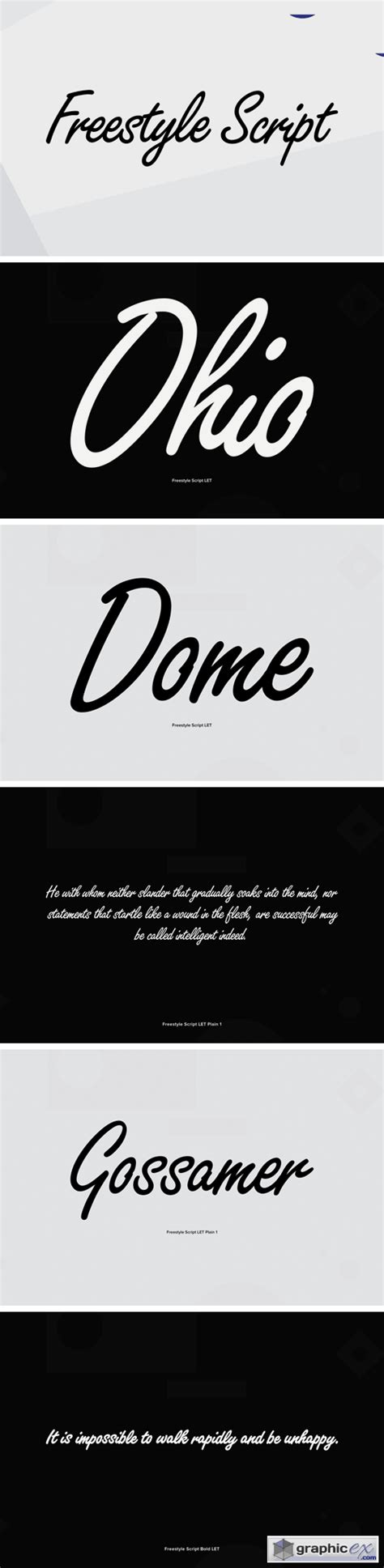 Freestyle Script Font Family Download