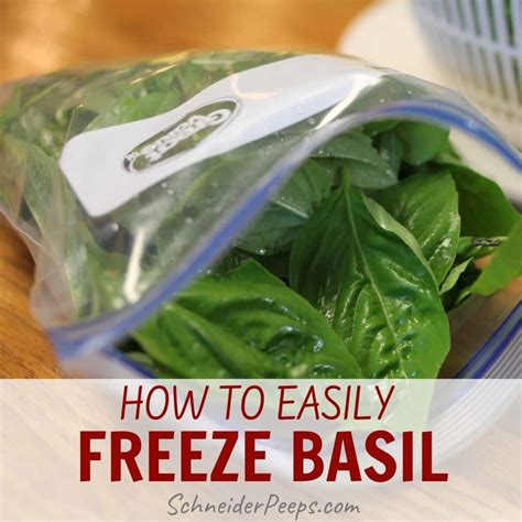 Freeze basil. 