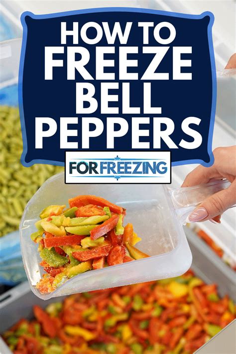 Freeze bell peppers. Freezing bell peppers in season can be a great way to save money at the grocery store. These peppers were purchased at our state farmer's market at the peak... 