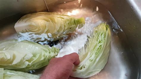 Freeze cabbage. Feb 22, 2024 · After the cabbages’ required time in the water is over, remove them with tongs and drop them into the cold water. Shake excess water from the cabbage, and place it in freezer containers. Too much air in the containers can lead to freezer burn, so try to remove as much air as you can. Put the containers on a cookie sheet, and put the cookie ... 