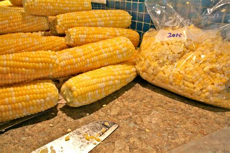 Freeze sweet corn. Jun 22, 2023 · To a large pot, add 10 cups* corn, water, salt and sugar. Set the pot over medium-high heat and bring to a boil. Let the mixture boil for 5 minutes, stirring occasionally. Pour the corn into a large shallow pan to cool. Once cool, scoop into labeled freezer bags, remove excess air and freeze. 