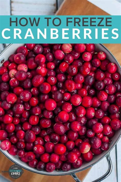 Freezing Cranberries {How to Freeze Cranberries ... - Sustainable …