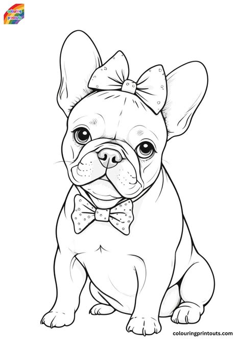 French Bulldog Coloring Shee