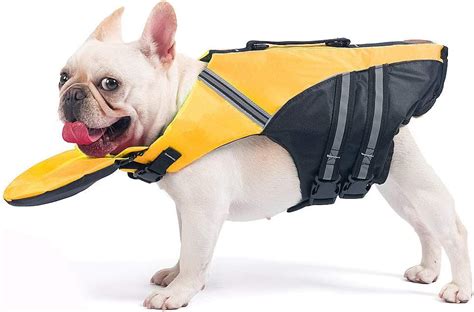 French Bulldog Life Jacket - Amazon.com