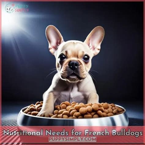 French Bulldog Puppy Nutrition