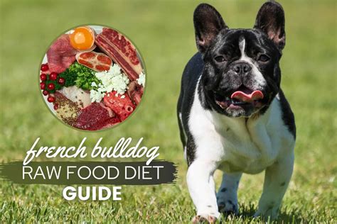 French Bulldog Puppy Raw Diet