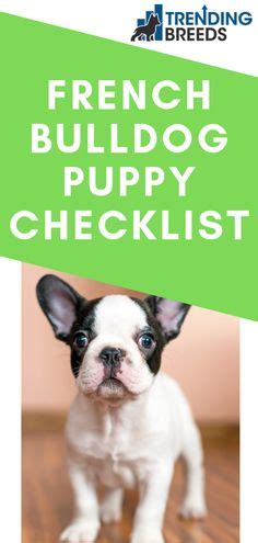 French Bulldog Puppy Supply List