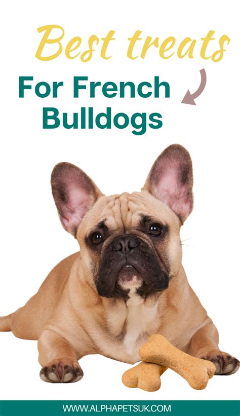 French Bulldog Puppy Training Treats