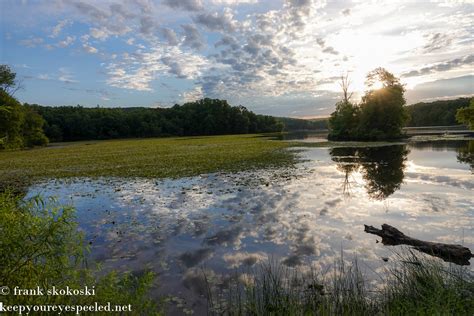 French Creek Hopewell - DVOA