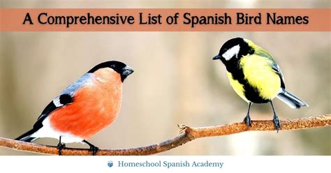 French and Spanish Bird Names – Sibley Guides