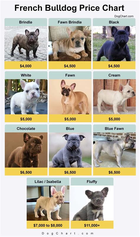 Frenchie Price Chart