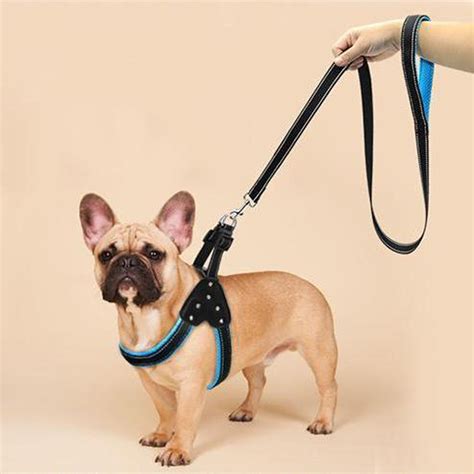 Frenchie harness. Add to cart OS - $ 30.00 USD. Score BIG style points with our Frenchie Strap Harness! It's made from the same luxe, durable material as our leashes! Easy-on-easy-off capability makes it super convenient for quick potty breaks, walks & when you're rushing out the door - you never know who you might run into ;) It's a one size fits most deal ... 