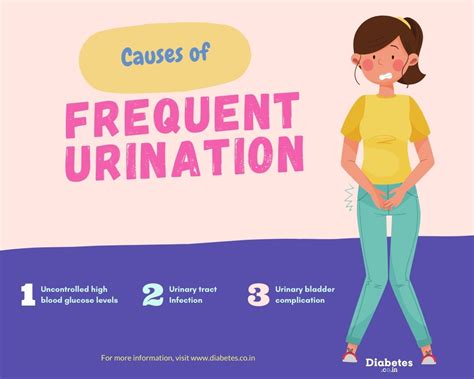 Frequent urination women diabetes.  Understanding causes like pregnancy, ...