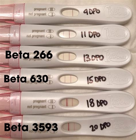 FRER progression and betas! Here's my FRER progression with a 