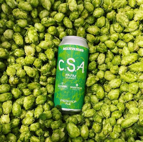 Fresh Hop Beer Is Here Seattle Met