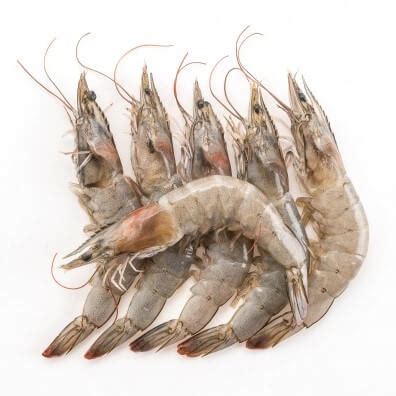 Fresh Medium Prawns - Online Seafood Delivery in Pakistan