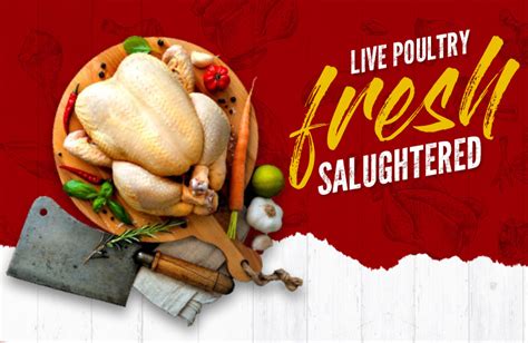 Fresh chicken shop In Doha, Fresh Poultry Products Qatar, Hanin …