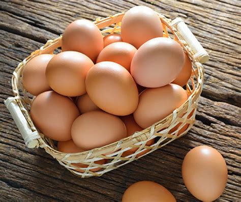 Fresh eggs near me. Things To Know About Fresh eggs near me. 