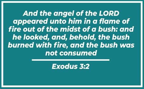 Fresh fire scriptures.  Since the beginning, Fresh-hotel started out small and...