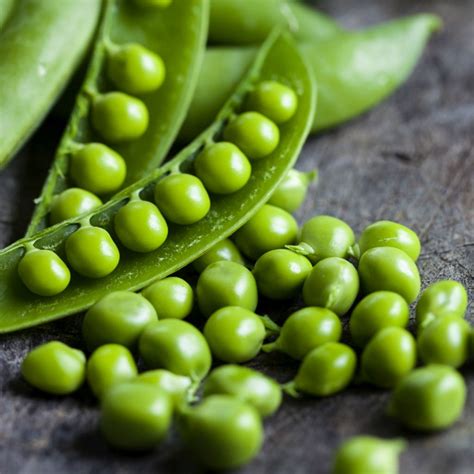 Fresh peas. Your pituitary gland makes hormones. With a pituitary disorder, you have too much or too little of one of these hormones. Learn about these disorders. Your pituitary gland is a pea... 