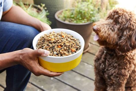 Fresh pet food for dogs. Assuming your dog has a typical activity level, toy breeds should have about ¼ cups to 1 cup, small breeds should have about 1 cup to 1 2/5 cup, medium breeds should have about 2 cups to 2 2/3 cups, and large breeds should have about 2 4/5 cups to 3 cups. -Senior dogs should be fed a little less than adult dogs. 