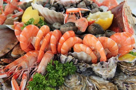 Fresh prawns Newcastle and Lake Macquarie suburbs, …