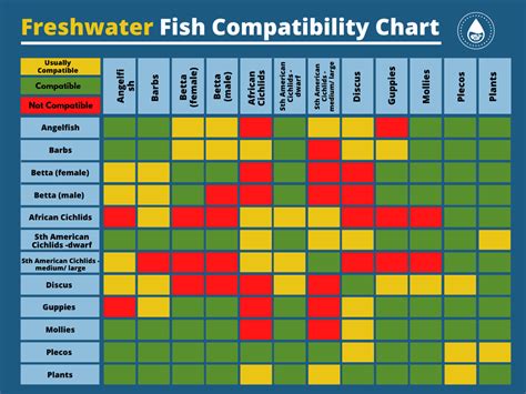 Freshwater Fish Compatibility Chart - Animal World