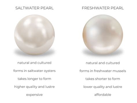 Freshwater Pearls vs. Saltwater Pearls: What Is the …