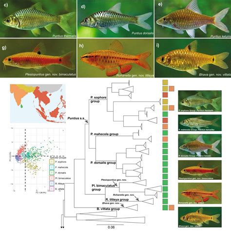 Freshwater fish representative species.  These lists have been generated from...