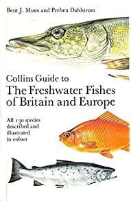Freshwater fishes of britain and europe collins field guide. - Project lead the way eoc study guide.