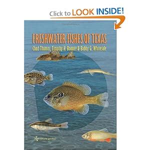 Freshwater fishes of texas a field guide river books sponsored. - Étude géologique de la tunisie centrale.