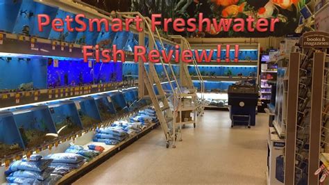 fish tropical and freshwater at PetSmart. Offer valid 5/24/24 - 5/27/24 online only with Treats Rewards membership.. 