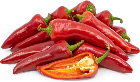 Fresno chilli. Fresno Chili: Thinner Walls, Vivid Red Peppers. Color: The vibrant red color of Fresno Chilies is a visual cue to their rich, fruity flavor profile. It provides a visually stunning contrast in dishes. Shape: Slightly smaller than Jalapeños, Fresno Chilies are about 2 inches long with a sleek, tapered end. 