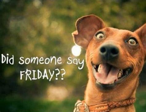 Friday Fun