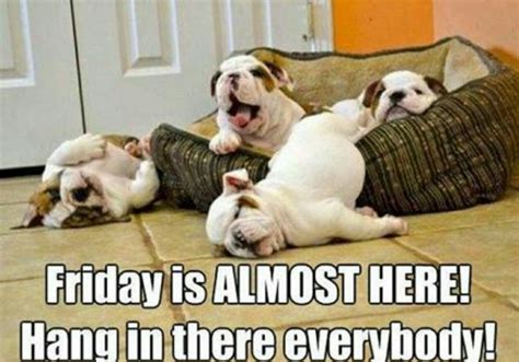 Friday eve memes funny. Things To Know About Friday eve memes funny. 