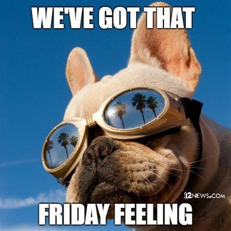 Friday feels meme. File Size: 3789KB. Duration: 4.900 sec. Dimensions: 498x371. Created: 6/12/2020, 1:12:50 PM. The perfect Feel That Its Friday Feeling It Animated GIF for your conversation. Discover and Share the best GIFs on Tenor. 