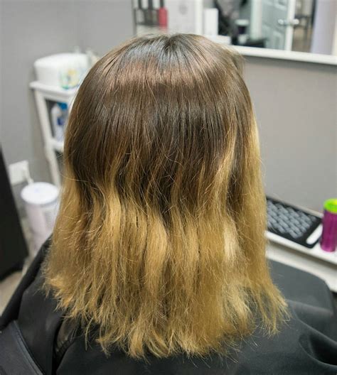 Fried hair. My hair is in relatively good condition, I'm proud to say, but it's not at peak healthiness. It's a little dry, which means it falls a little flat and the ends seem rather frayed. And while a ... 