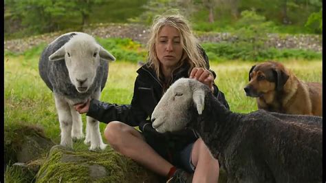 Friendly Herdwick sheep! - YouTube