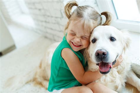 Friendly pets. Find Friendly Animal stock images in HD and millions of other royalty-free stock photos, illustrations and vectors in the Shutterstock collection. 