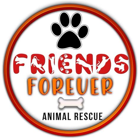 Friends forever animal rescue. 