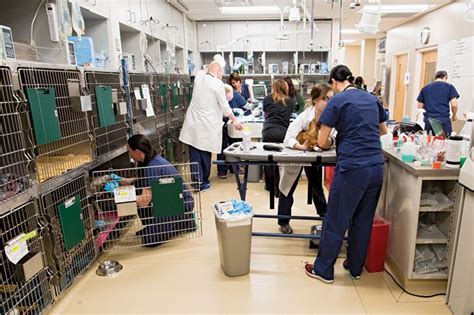 Friendship hospital for animals. If completing CPR will delay transport to the nearest animal hospital, or put you at risk, you should focus on immediately getting to the hospital. ... Friendship Hospital for Animals 4105 Brandywine St. N.W. Washington, DC 20016 PH 202.363.7300. AAHA Accredited since 1950. 