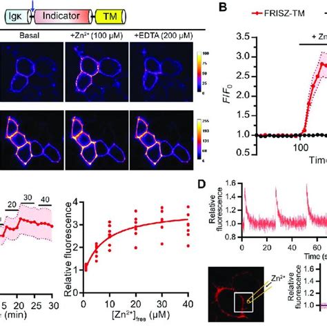 Frisz &ndash; Wikip&eacute;dia, a enciclop&eacute;dia livre