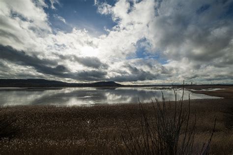 Frodsham Marshes could be flooded to create a wetland