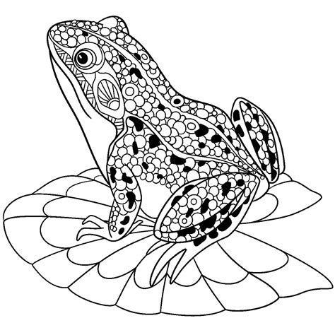 Frog Adult Coloring Pages