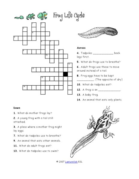 Frog Dissection Answers Crossword