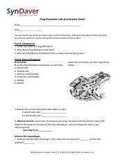 Frog Dissection Lab and Answer Sheet - SynDaver