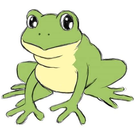 Frog Drawing Pictures