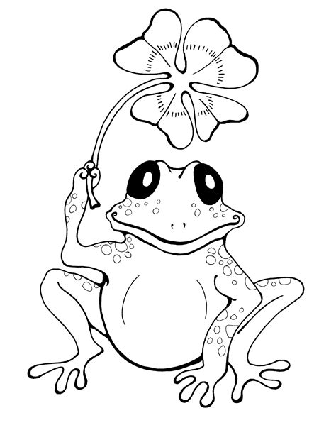 Frog Printable Coloring Pages
