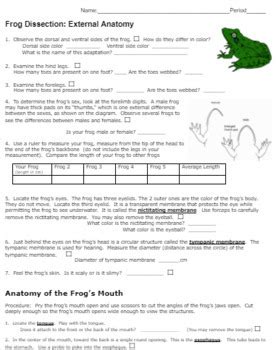 Frog Student Dissection Answer Sheet Key